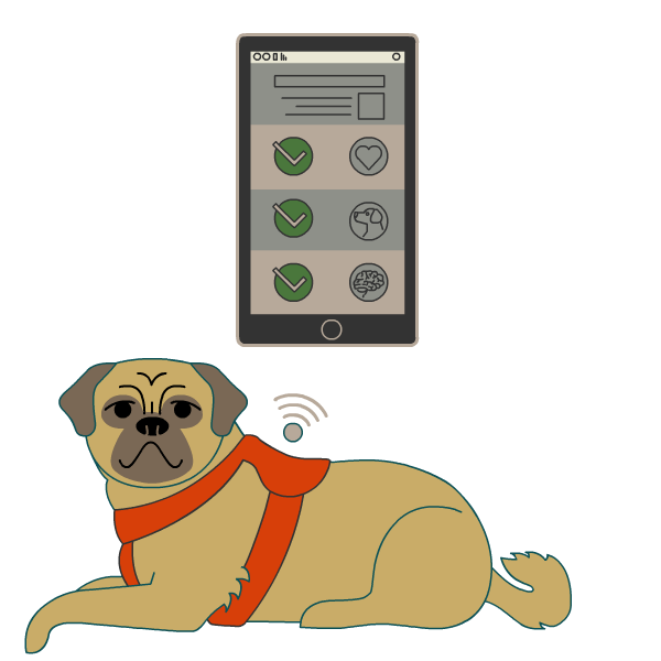 有插图的狗戴着挽具，连接到手机应用程序